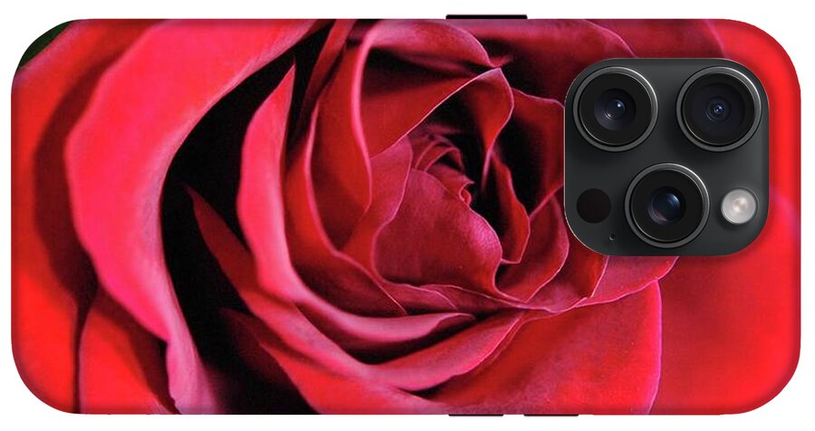 Red Rose Close Up - Phone Case