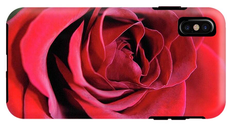 Red Rose Close Up - Phone Case