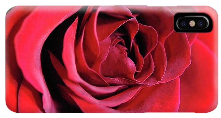 Red Rose Close Up - Phone Case