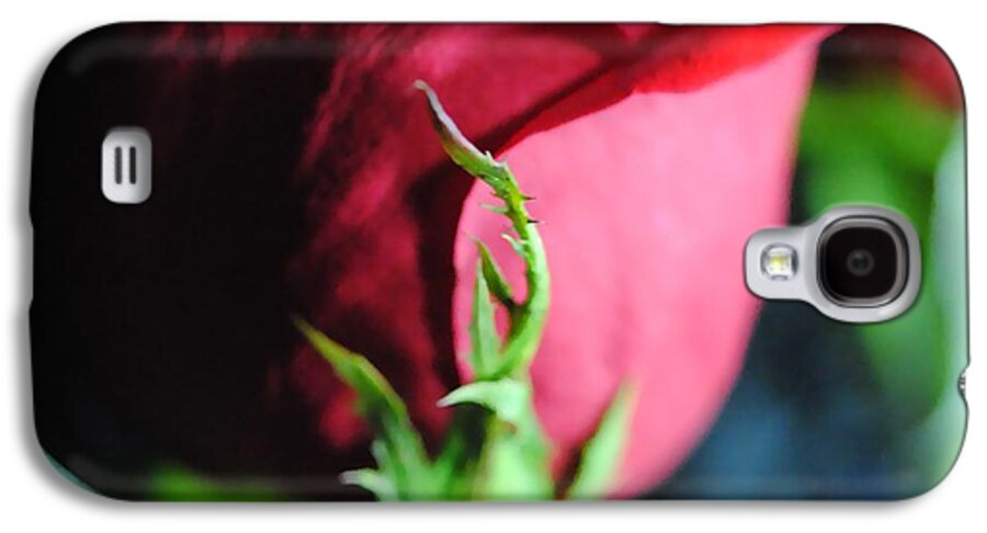 Red Rose Green Stem - Phone Case