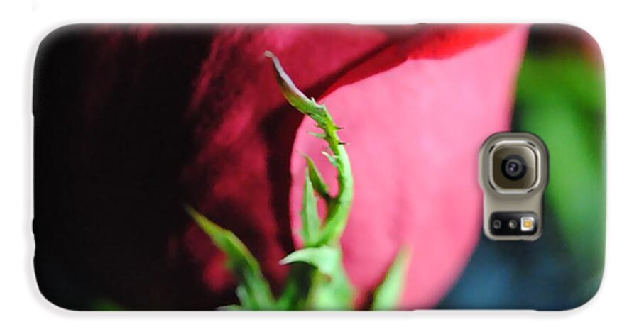 Red Rose Green Stem - Phone Case