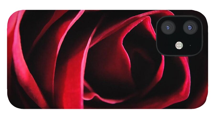 Red Rose in Shadow - Phone Case