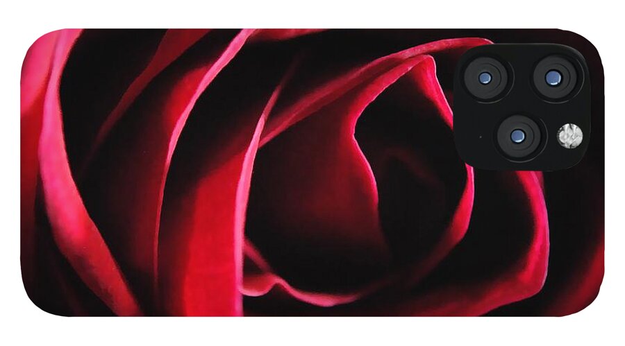 Red Rose in Shadow - Phone Case
