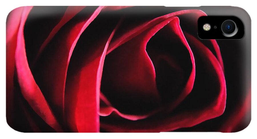 Red Rose in Shadow - Phone Case