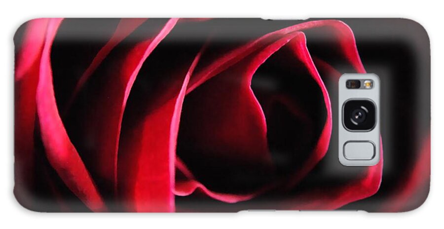 Red Rose in Shadow - Phone Case