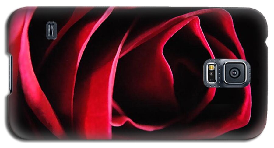 Red Rose in Shadow - Phone Case
