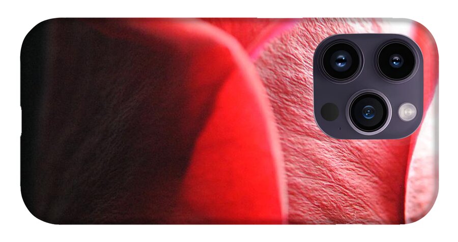 Red Rose in Spotlight - Phone Case