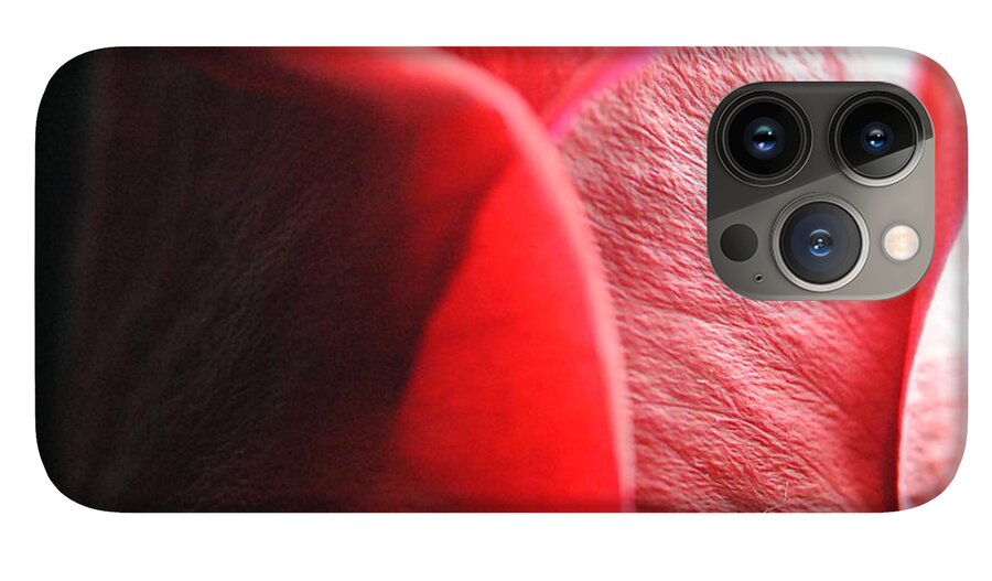 Red Rose in Spotlight - Phone Case