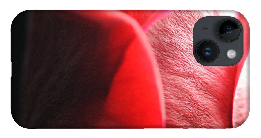 Red Rose in Spotlight - Phone Case