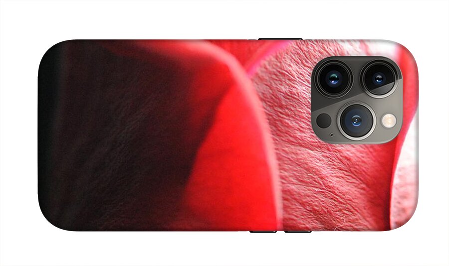 Red Rose in Spotlight - Phone Case