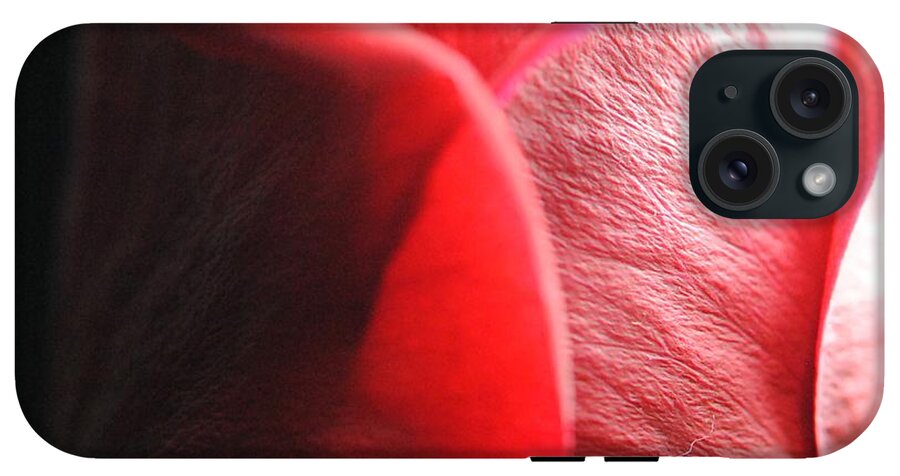 Red Rose in Spotlight - Phone Case