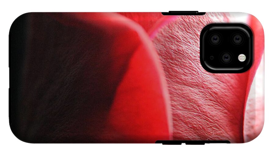 Red Rose in Spotlight - Phone Case