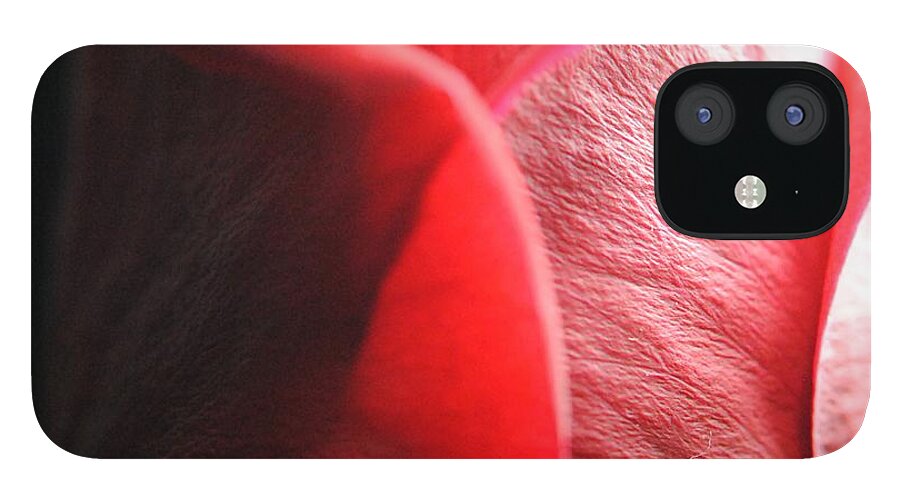 Red Rose in Spotlight - Phone Case