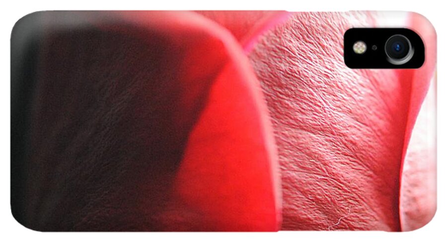 Red Rose in Spotlight - Phone Case