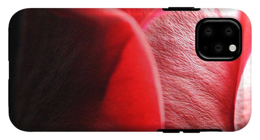 Red Rose in Spotlight - Phone Case
