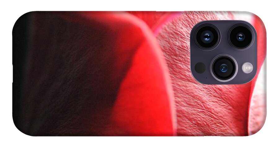 Red Rose in Spotlight - Phone Case