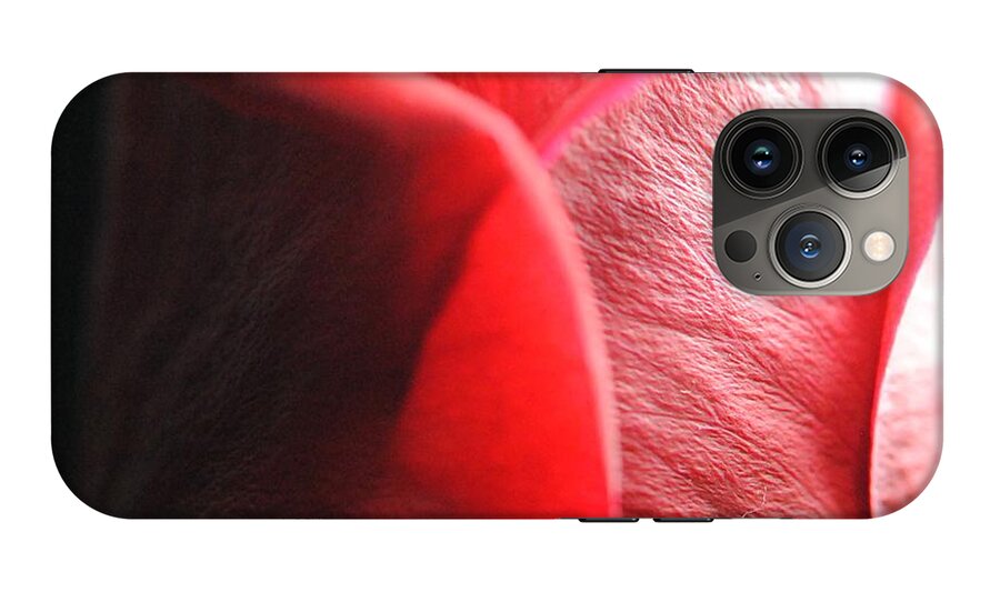 Red Rose in Spotlight - Phone Case