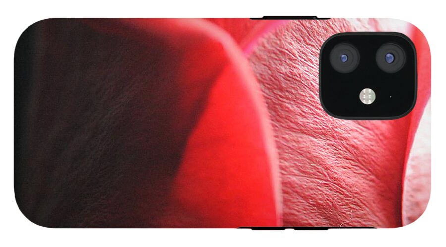 Red Rose in Spotlight - Phone Case