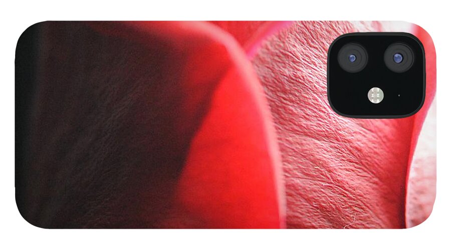 Red Rose in Spotlight - Phone Case