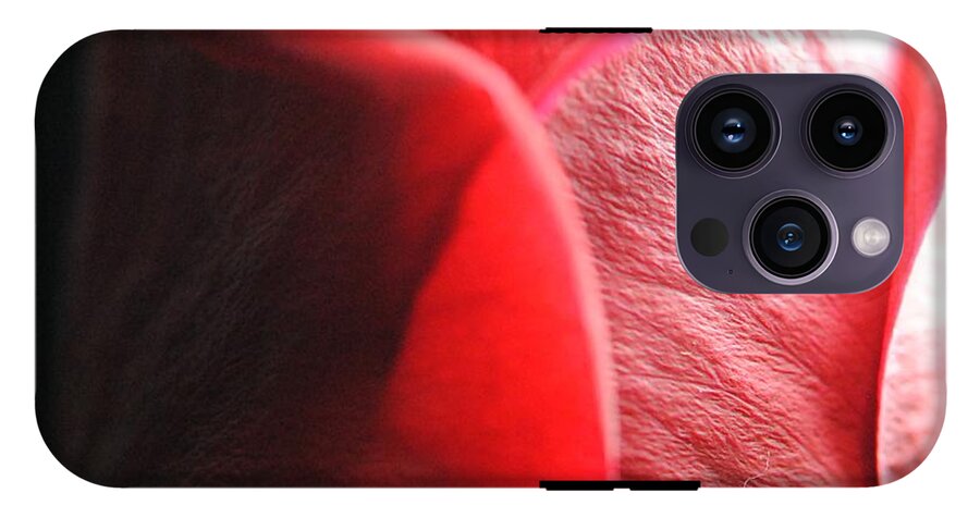 Red Rose in Spotlight - Phone Case