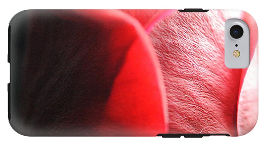Red Rose in Spotlight - Phone Case