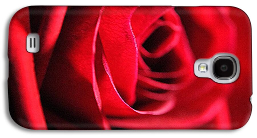 Red Rose Profile - Phone Case