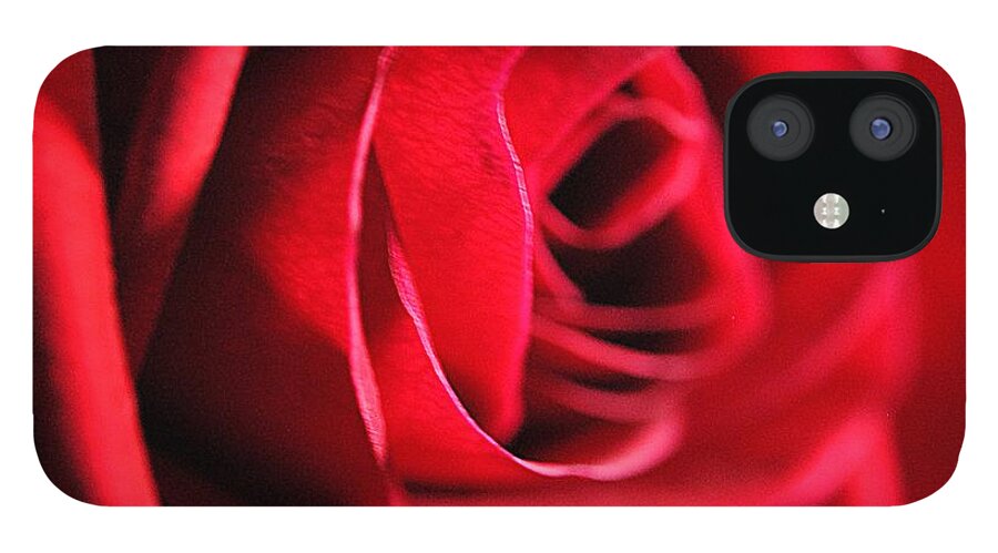 Red Rose Profile - Phone Case