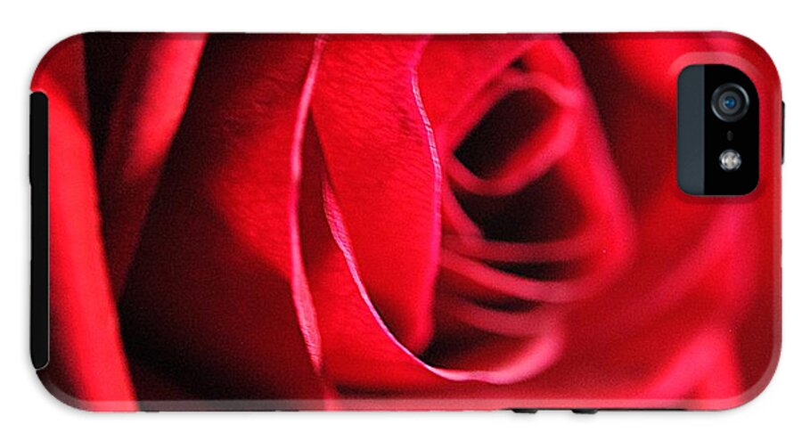 Red Rose Profile - Phone Case