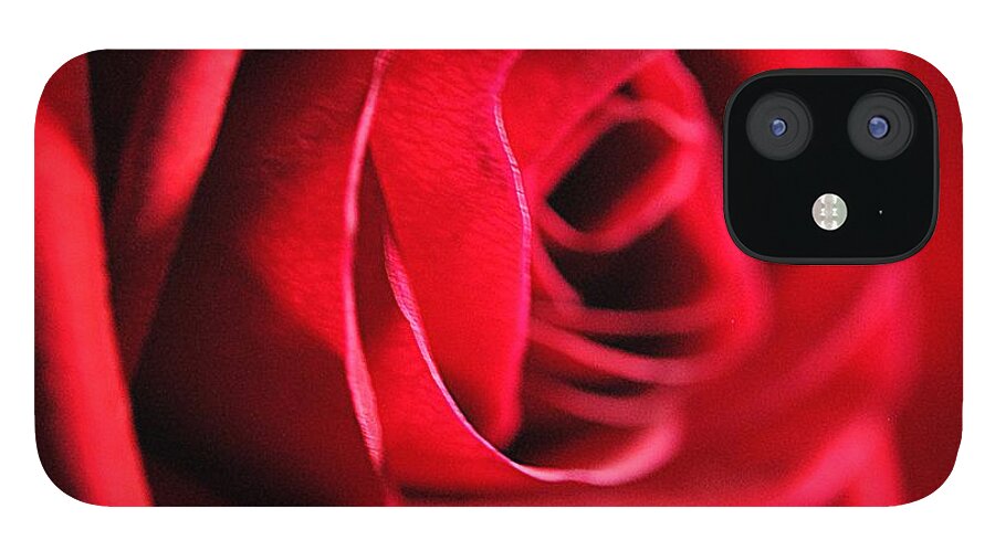 Red Rose Profile - Phone Case
