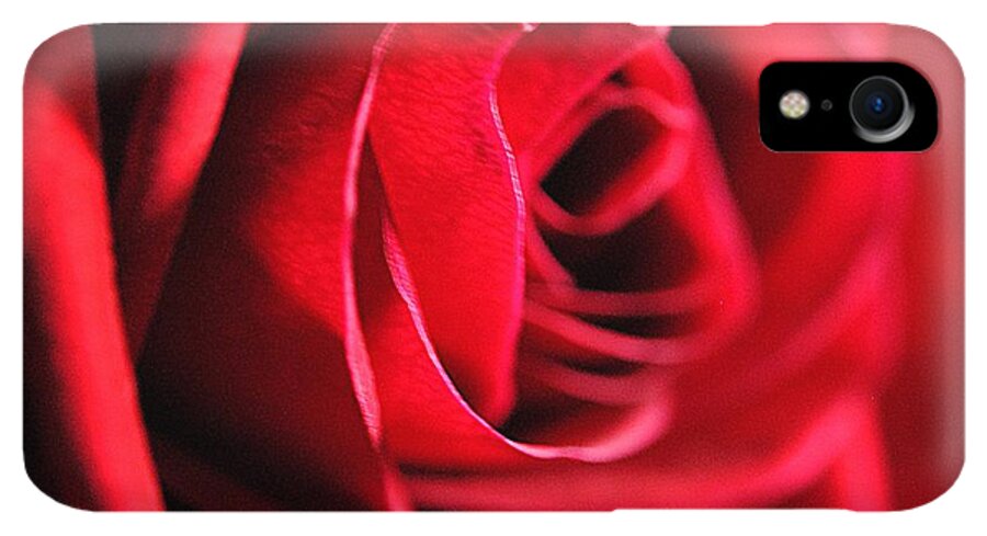 Red Rose Profile - Phone Case