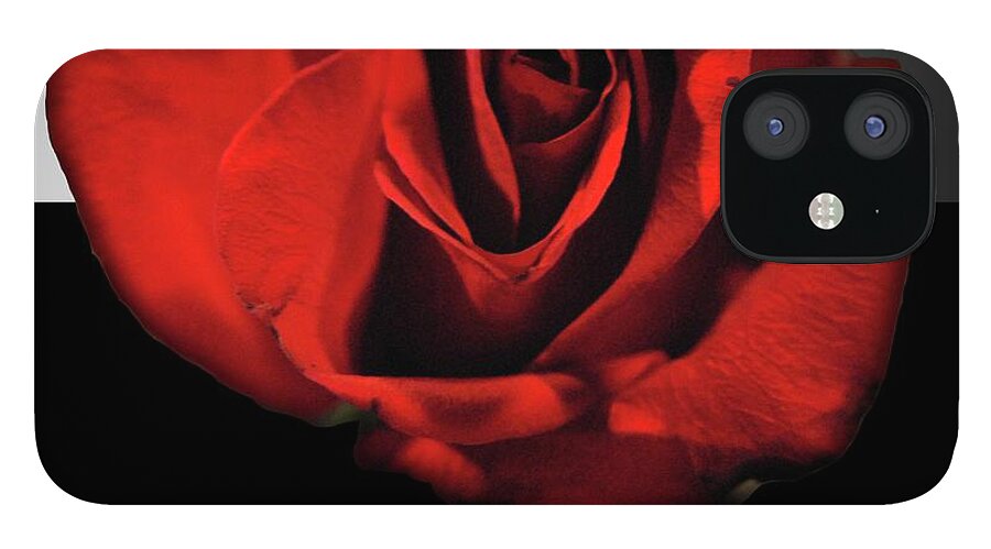 Red Rose Reflection - Phone Case