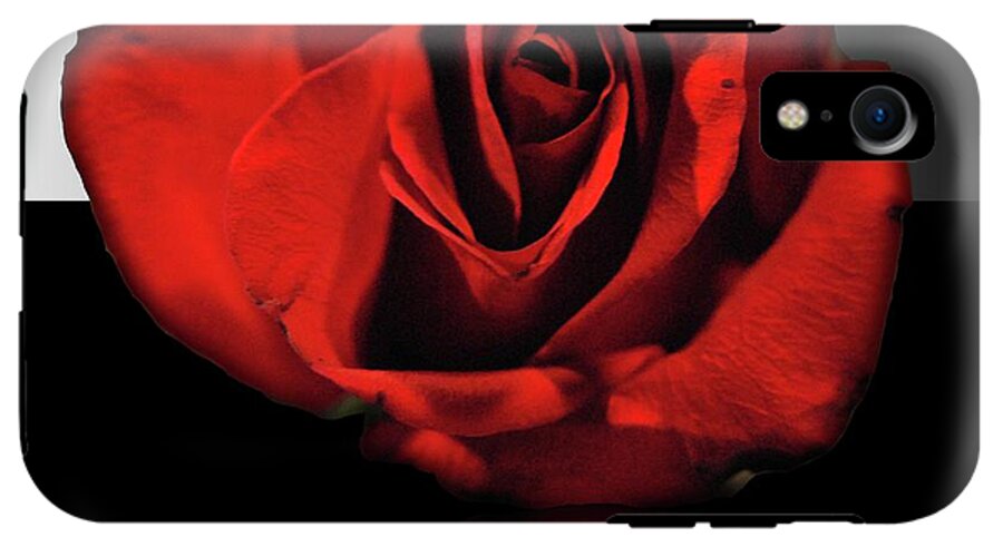 Red Rose Reflection - Phone Case