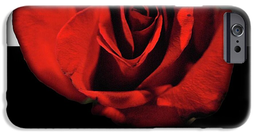 Red Rose Reflection - Phone Case