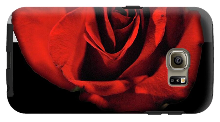 Red Rose Reflection - Phone Case