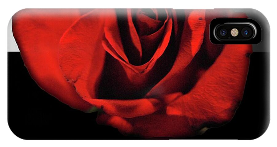 Red Rose Reflection - Phone Case