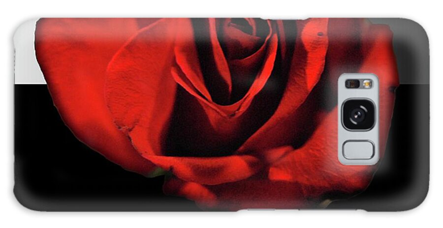 Red Rose Reflection - Phone Case