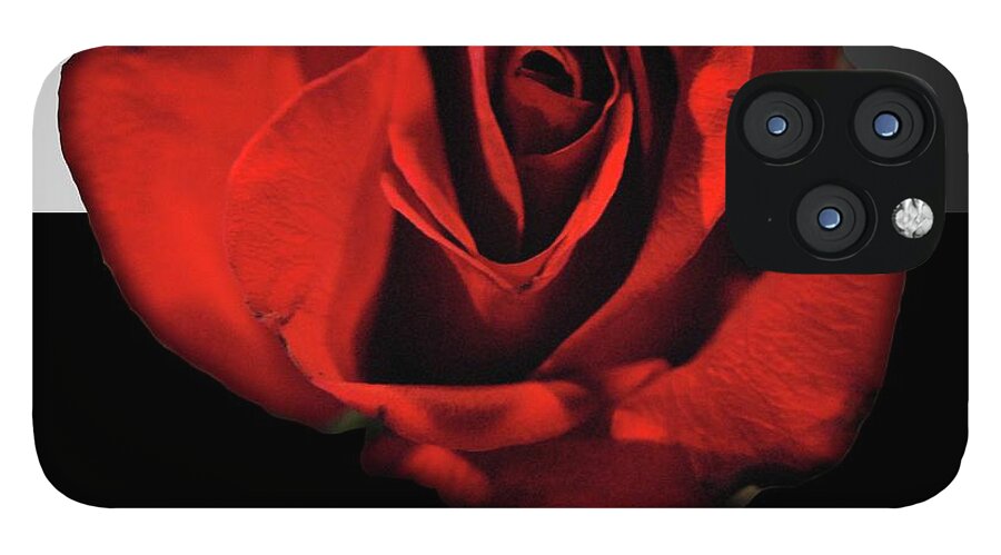 Red Rose Reflection - Phone Case