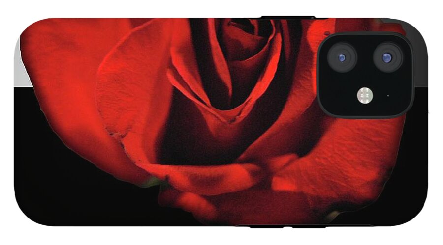Red Rose Reflection - Phone Case