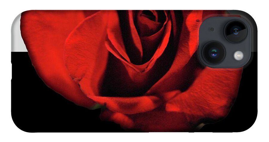 Red Rose Reflection - Phone Case