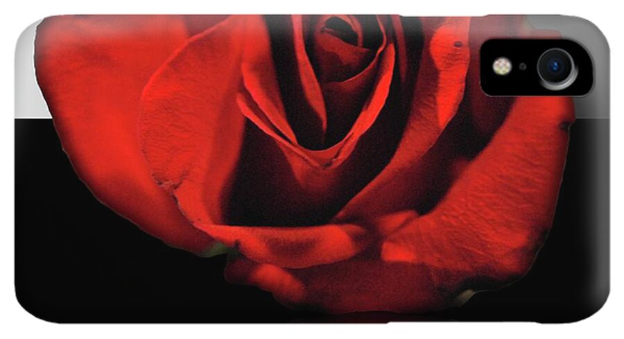Red Rose Reflection - Phone Case