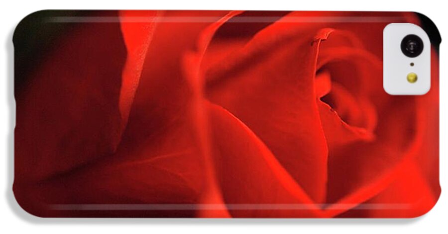 Red Rose With Veins - Phone Case
