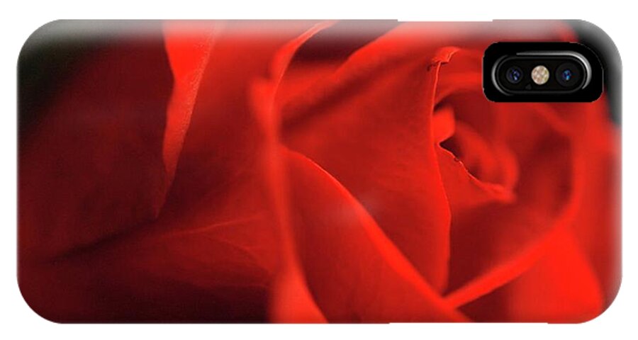 Red Rose With Veins - Phone Case