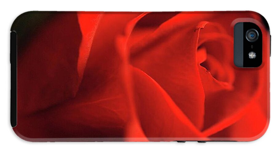 Red Rose With Veins - Phone Case
