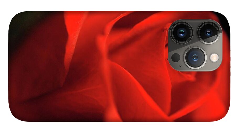 Red Rose With Veins - Phone Case