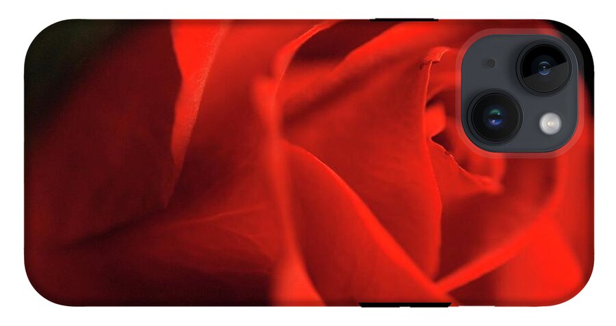 Red Rose With Veins - Phone Case