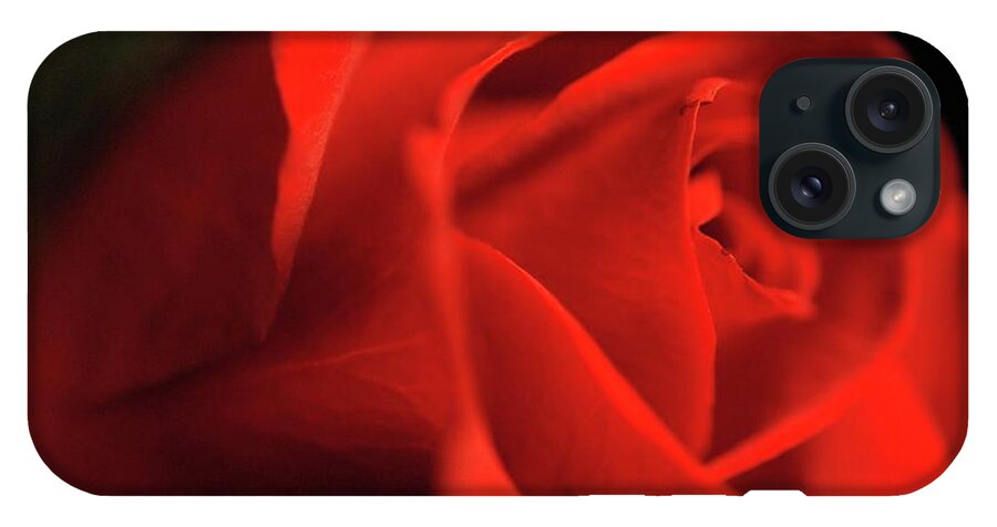 Red Rose With Veins - Phone Case