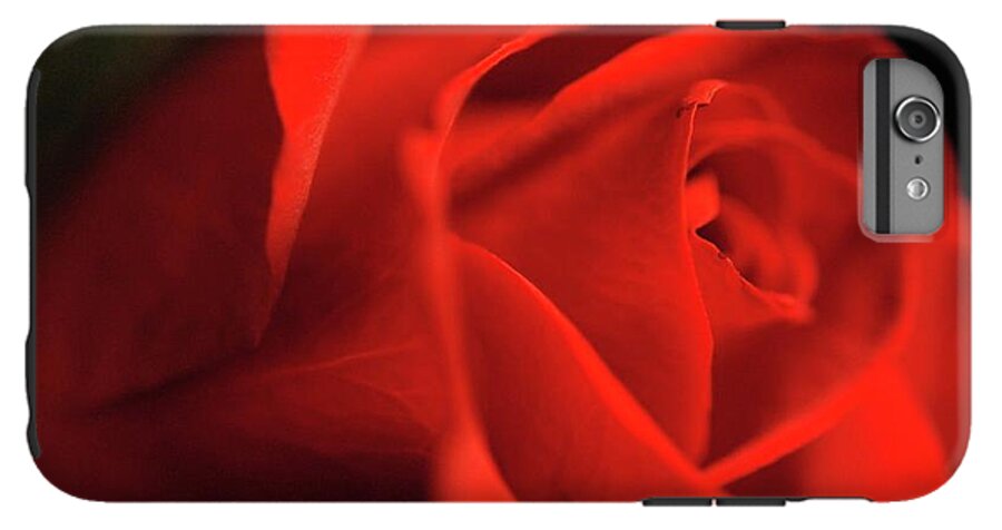 Red Rose With Veins - Phone Case