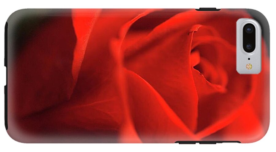 Red Rose With Veins - Phone Case