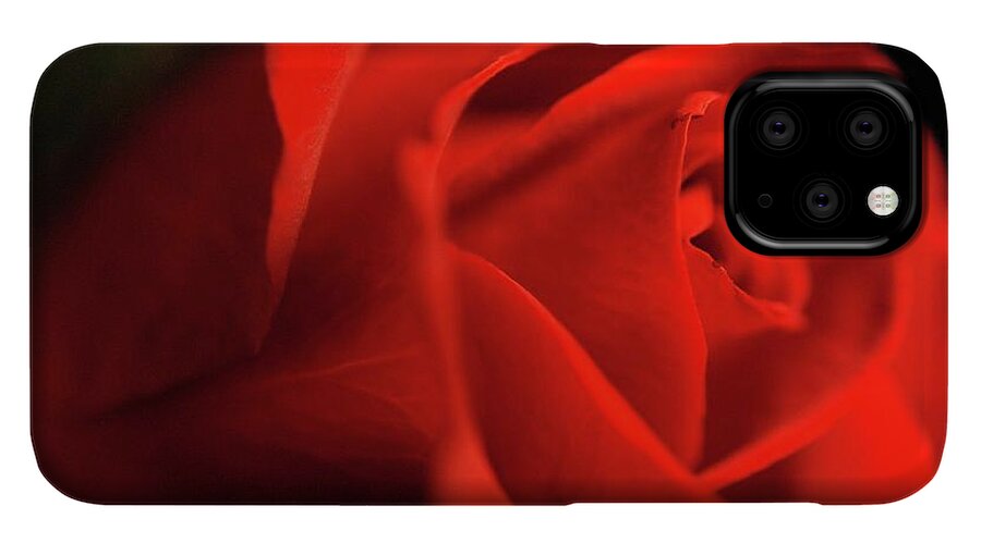 Red Rose With Veins - Phone Case