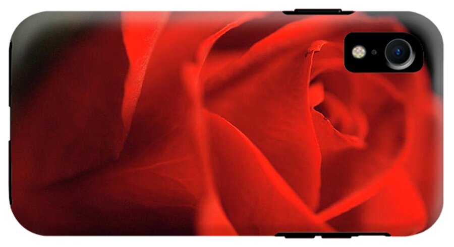 Red Rose With Veins - Phone Case